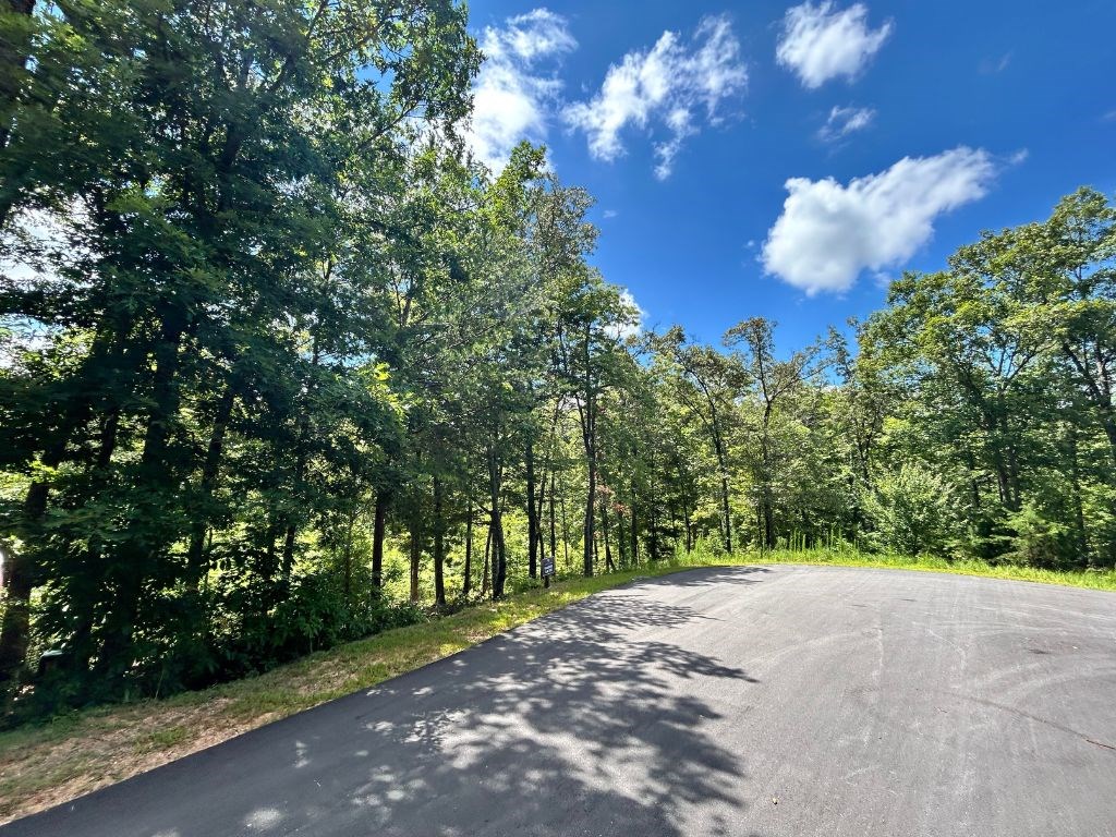 Lot 195 Trails End Way