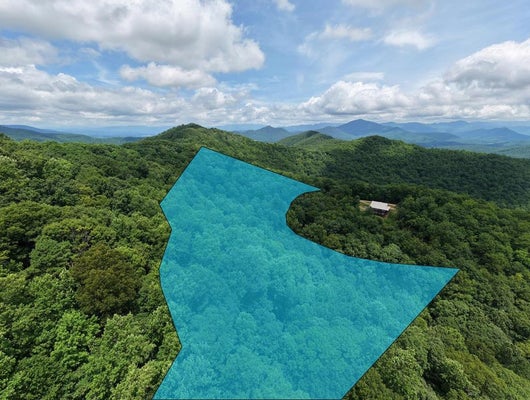 CAESAR GAP, HIAWASSEE, GA 30546 - Image e72f8e2f1f854d9232ae338031cf5cd6/2805321592