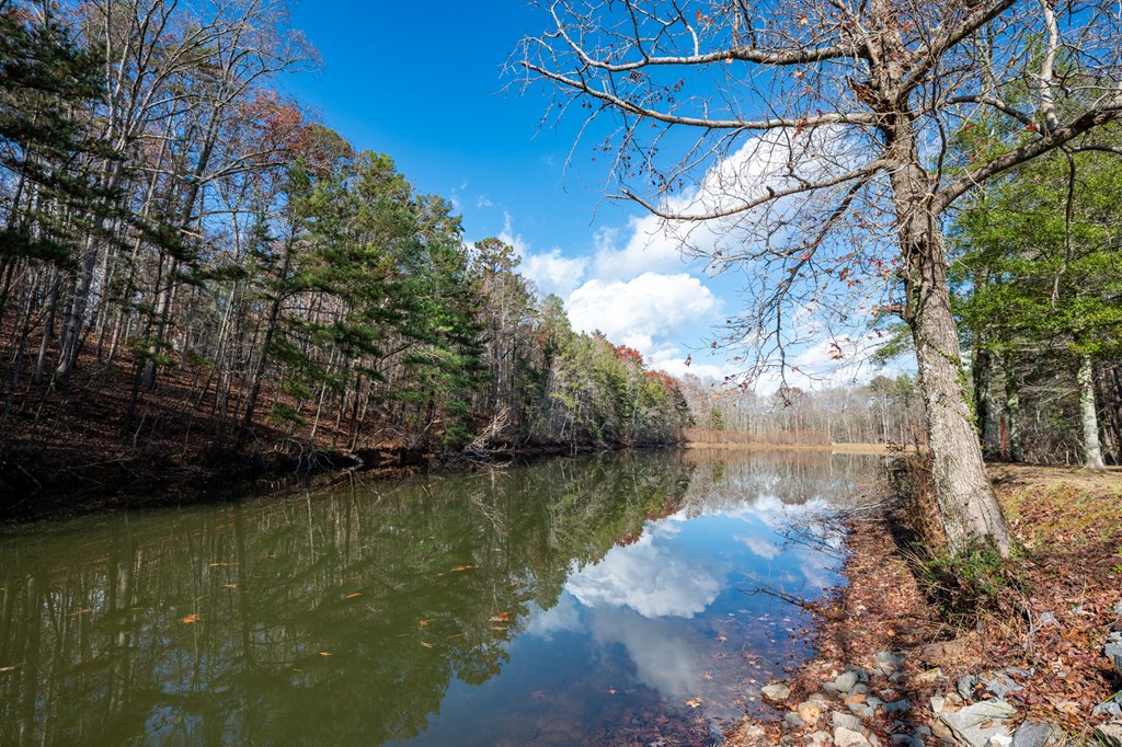 201 Talona Lake Terrace