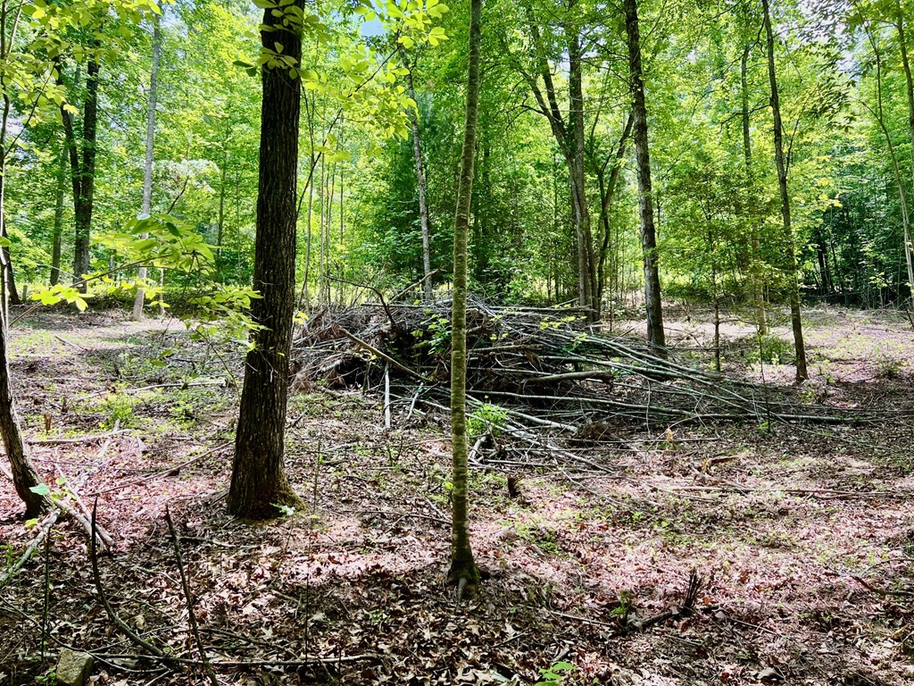 Lot 3 Lower Fox Trail