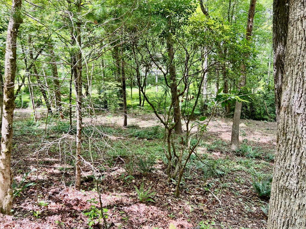 Lot 3 Lower Fox Trail