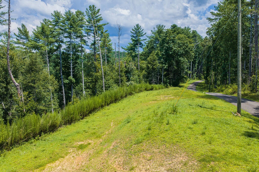 Tract C Hicks Ford Road