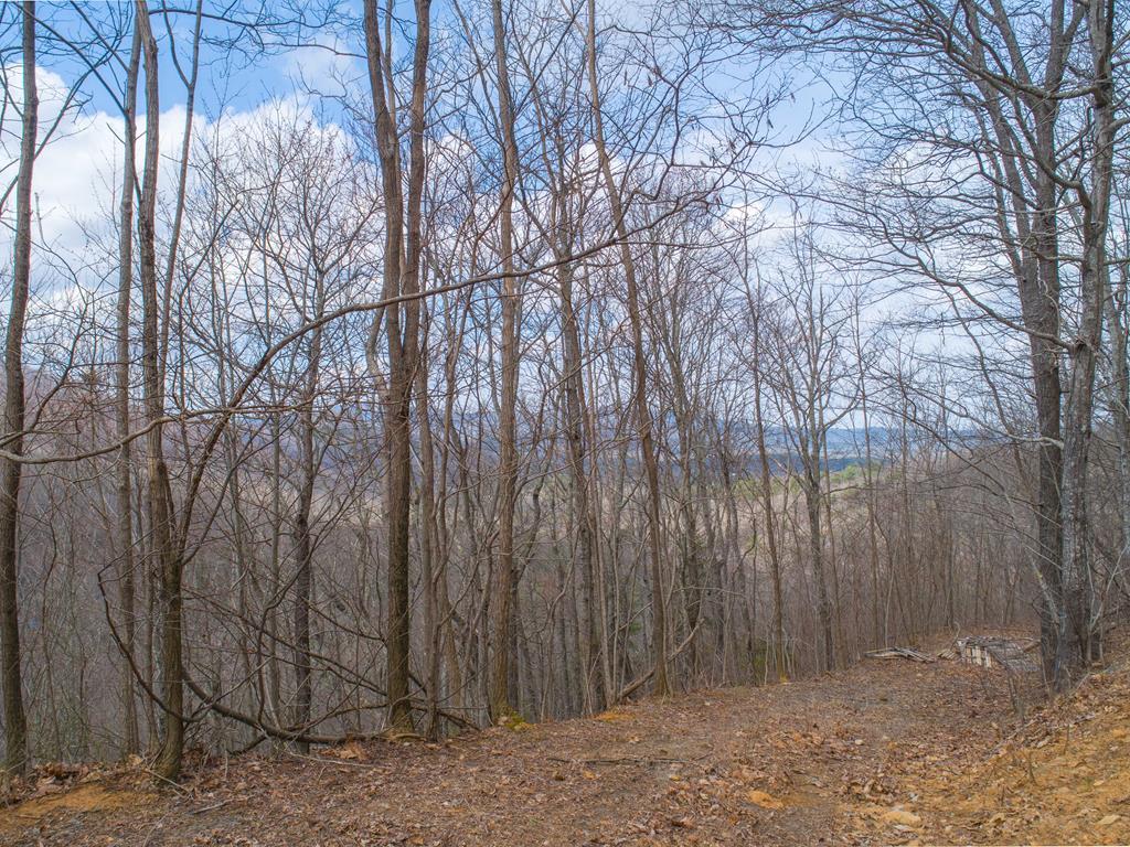 00 Pack Mountain Road