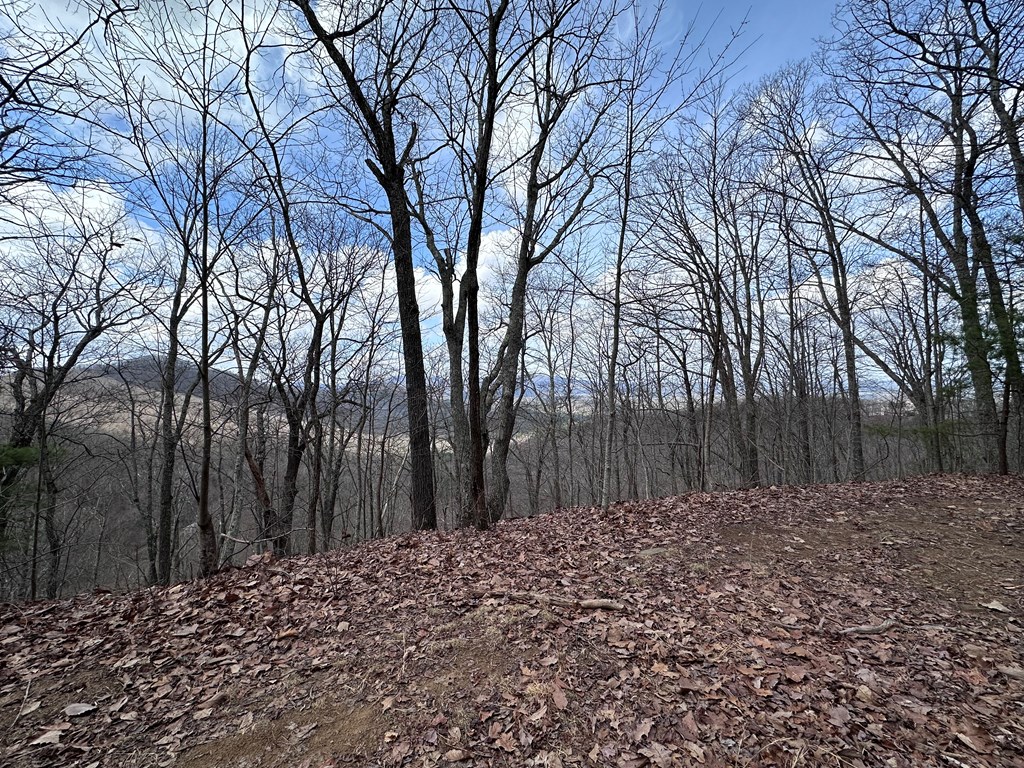00 Pack Mountain Road
