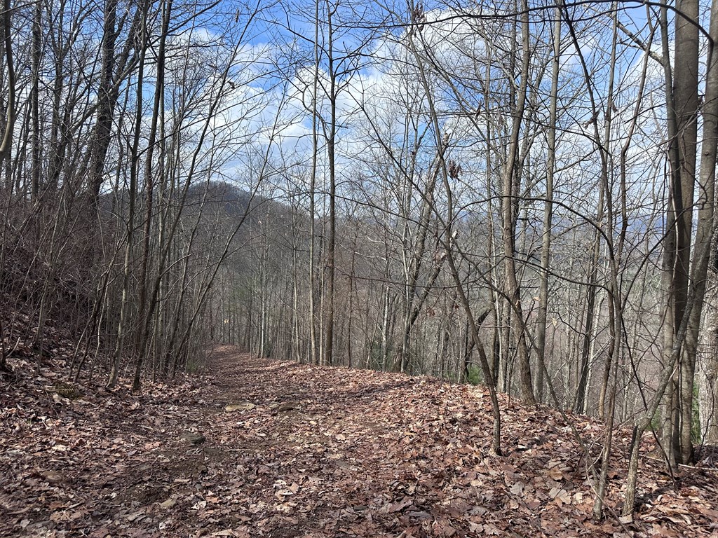 00 Pack Mountain Road