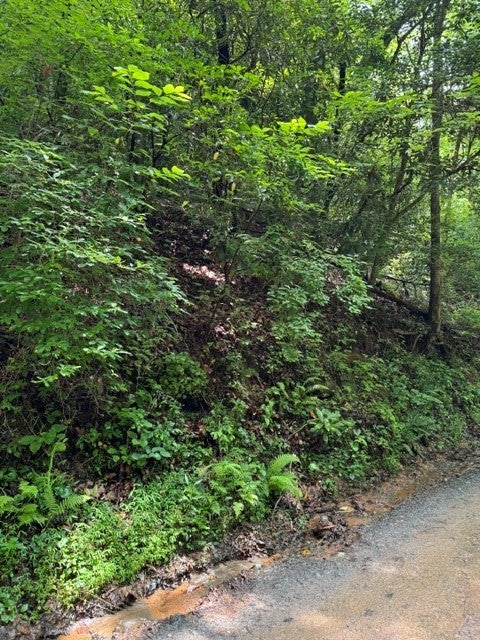 Lot 2 Kells Ridge
