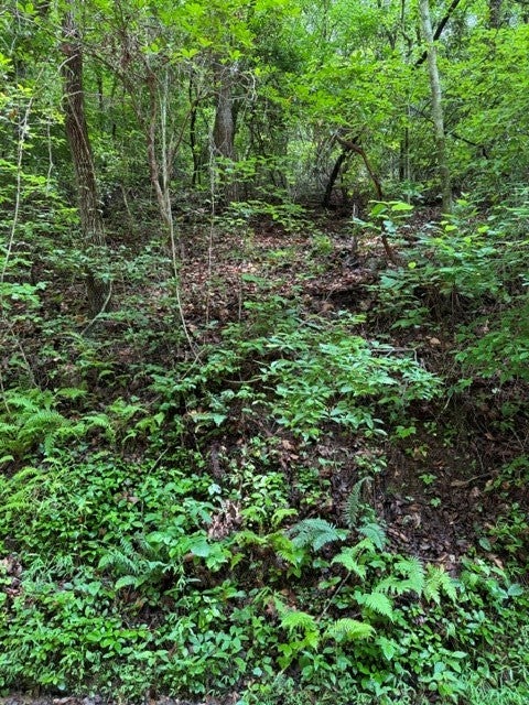 Lot 2 Kells Ridge