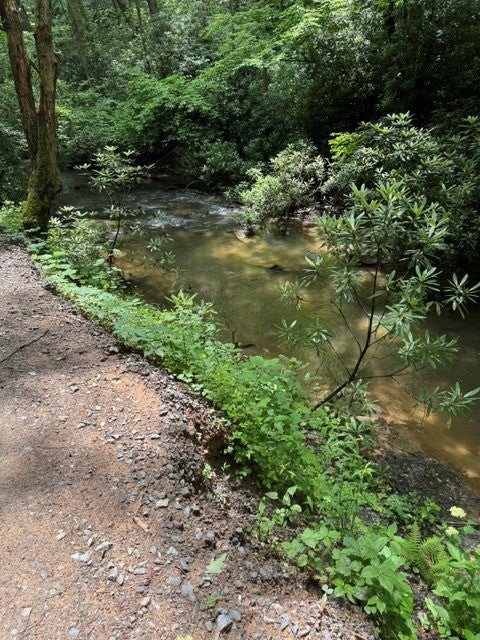 Lot 2 Kells Ridge