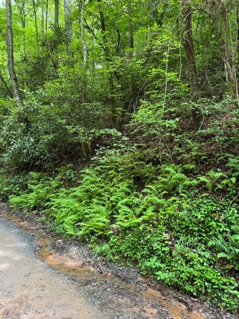 Lot 2 Kells Ridge