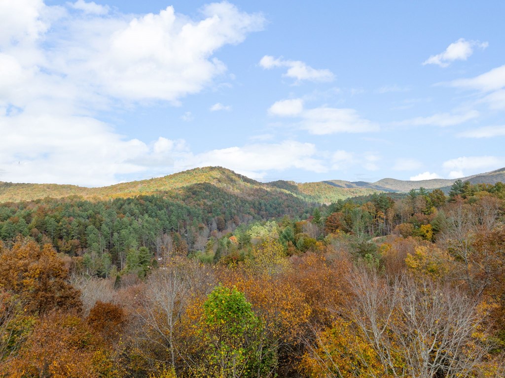 247 Toccoa Overlook Drive