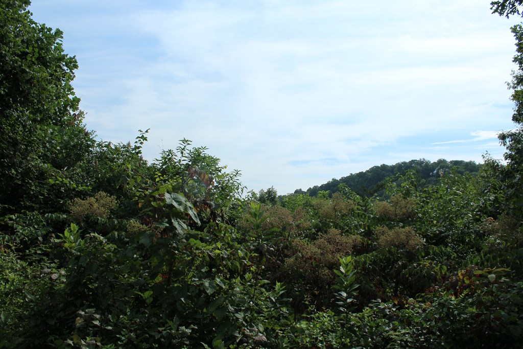 Lot 26 Trillium Heights Circle