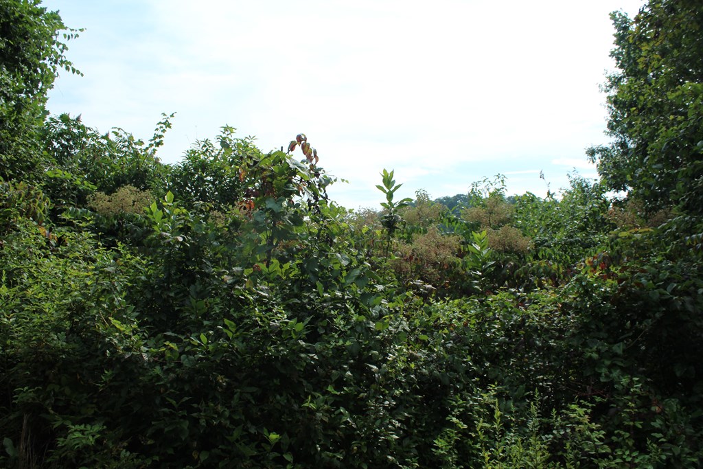 Lot 26 Trillium Heights Circle