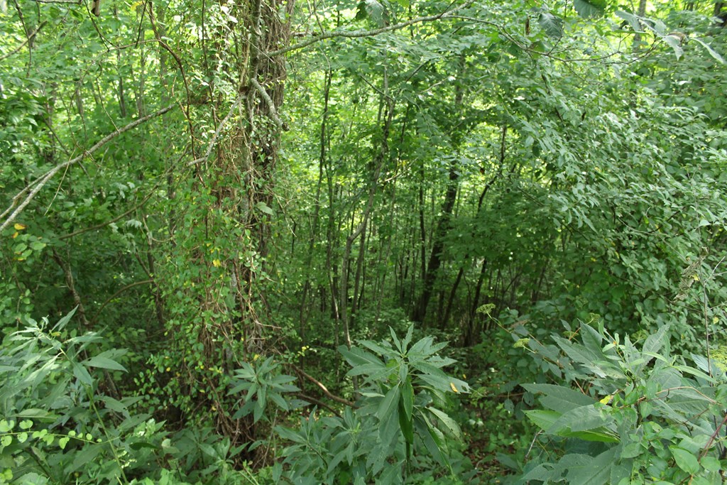 Lot 26 Trillium Heights Circle