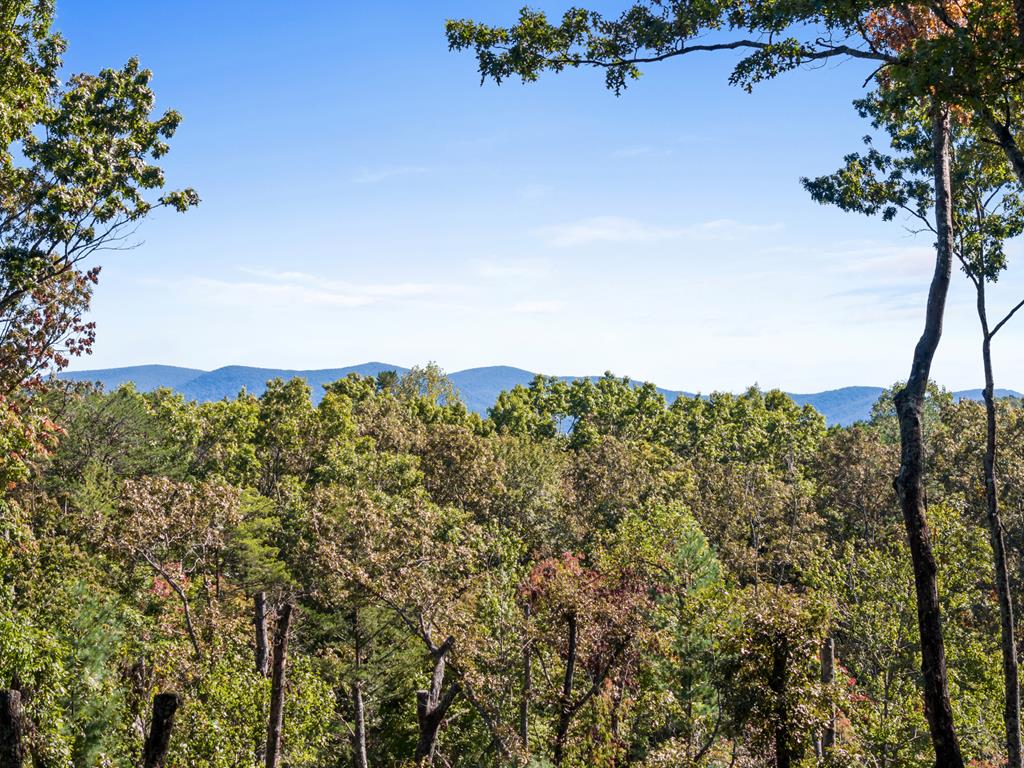 99 Chestnut Hills Lane