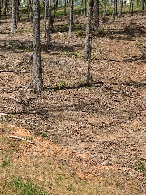 lot #6 Lake Top Lane