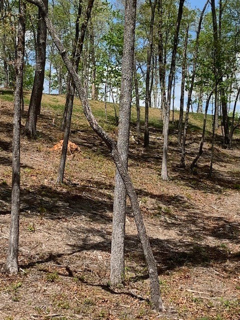 lot #6 Lake Top Lane