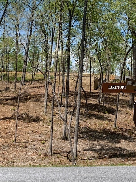 lot #6 Lake Top Lane