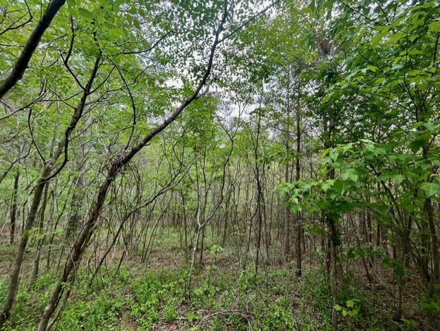 Lot 28 Eastside Drive