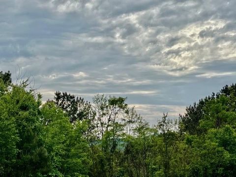 Lot 28 Eastside Drive Ellijay GA 30536