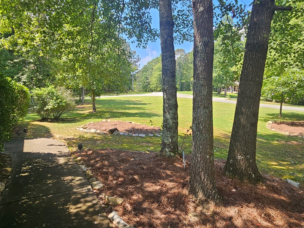 90 Chimney Sweep Trail