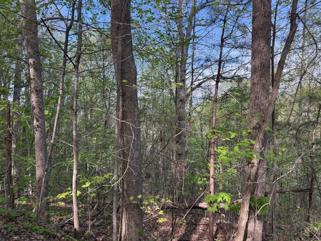00 Mining Gap Road
