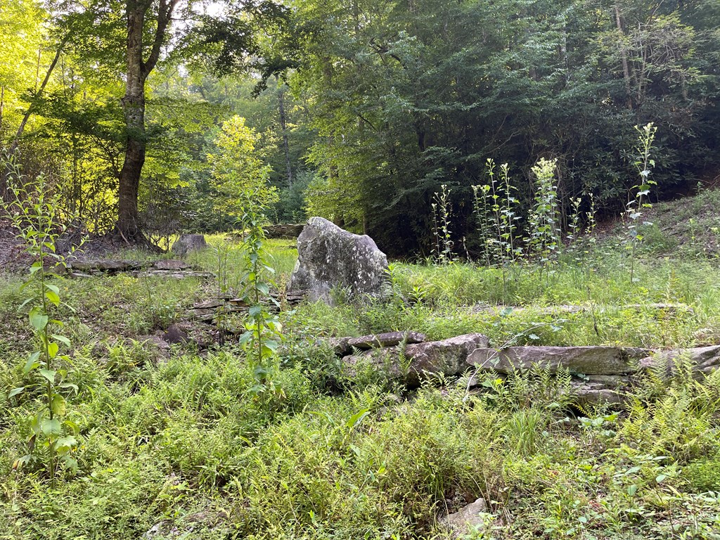 49.8 Stamey Cove Road