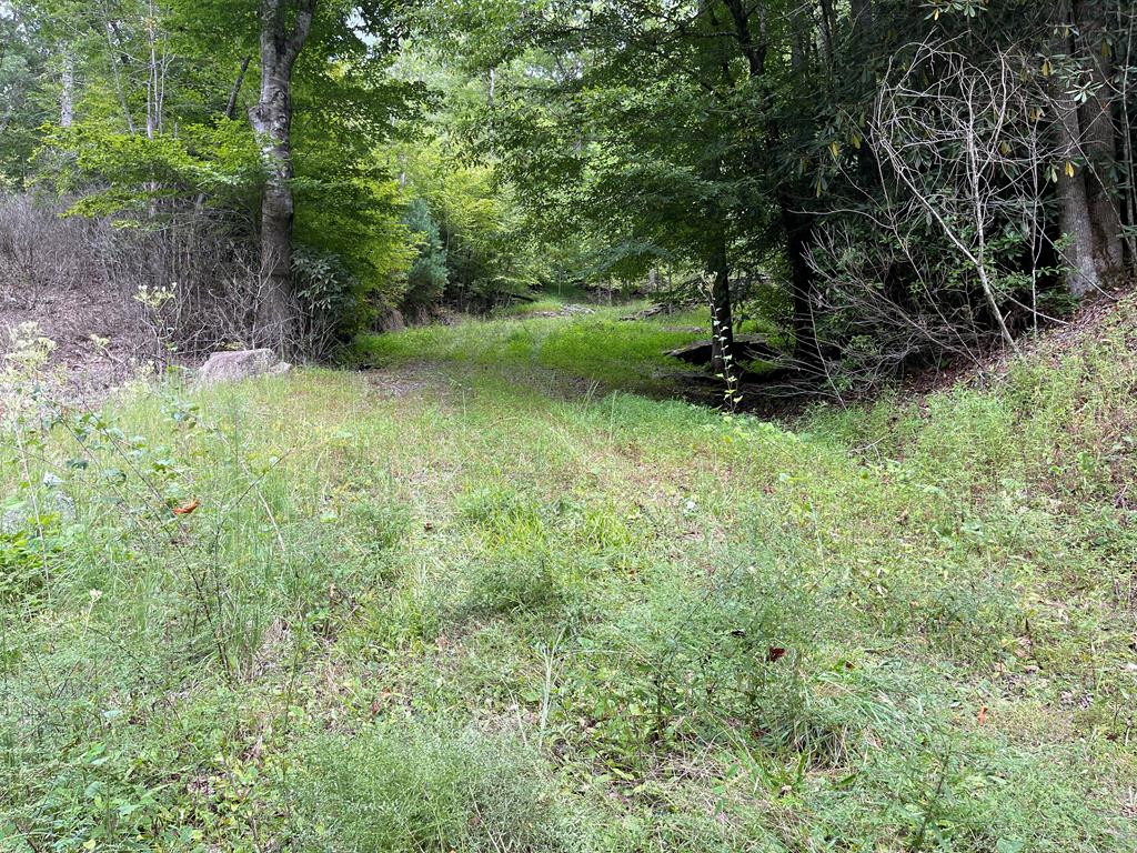 49.8 Stamey Cove Road
