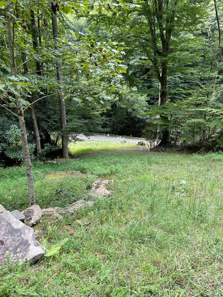 49.8 Stamey Cove Road