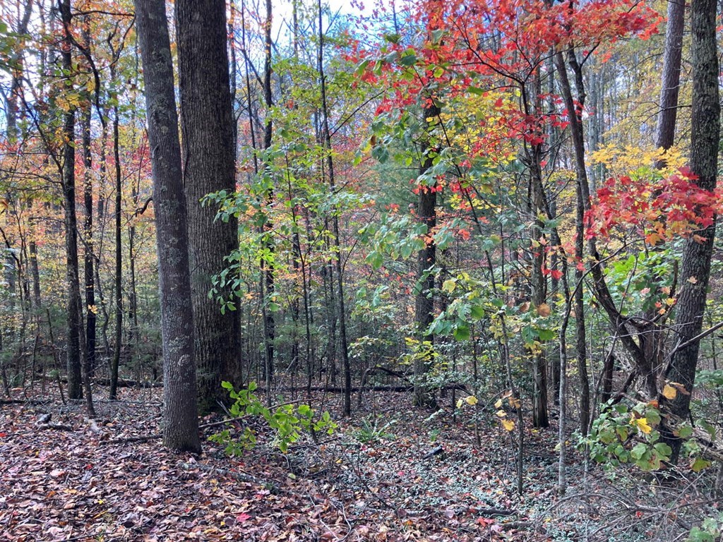 39 Acres Hedden Stiles Road