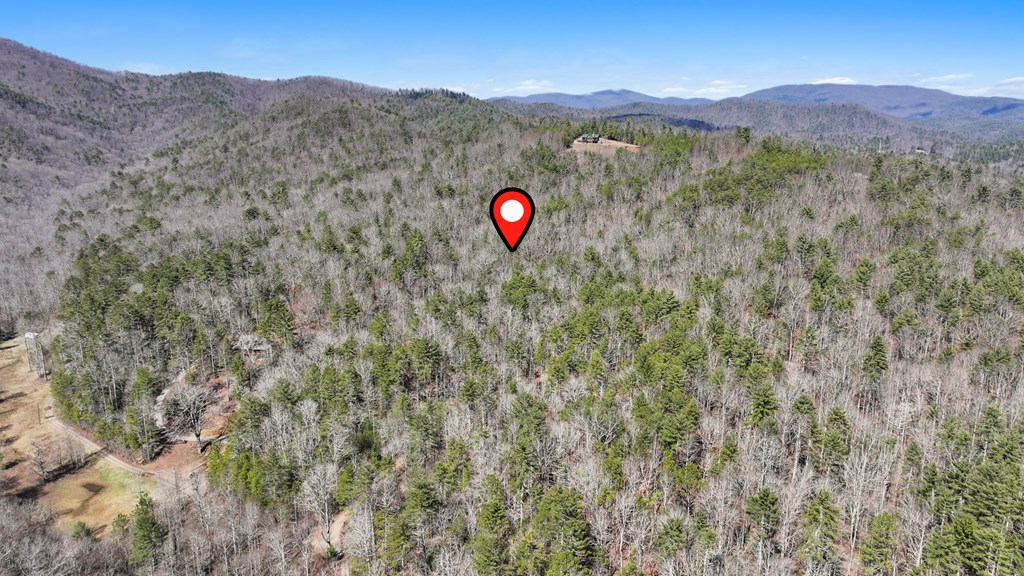 11.1 Ac. Stevens Ridge Road