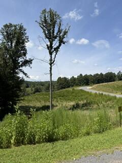 Lot 62 Big Valley Lane