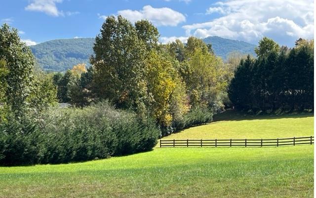 105 Meadow Brooke Lane