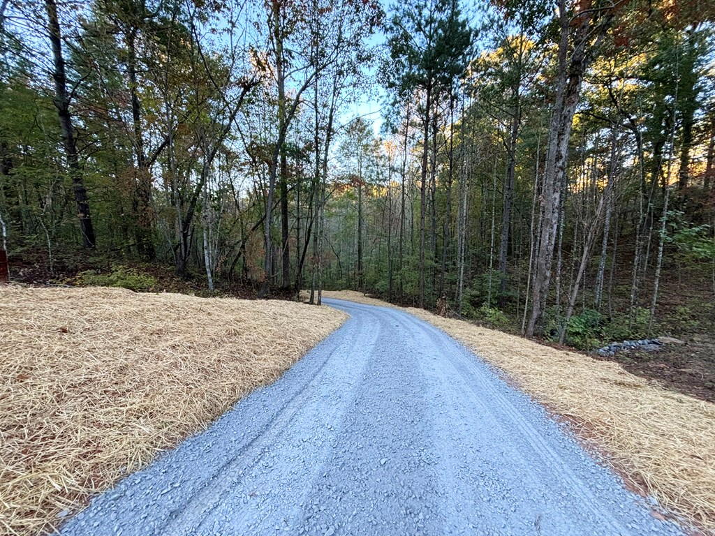 2010 Mt. Springer Road