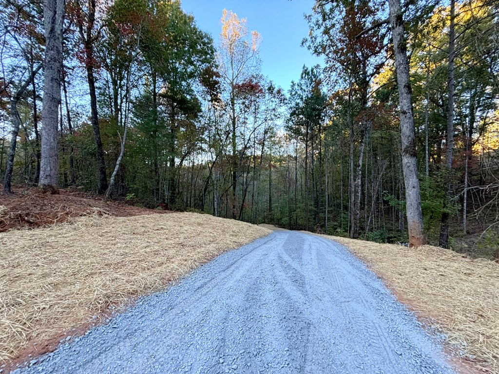 2010 Mt. Springer Road