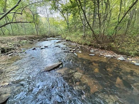 2010 Mt. Springer Road Ellijay GA 30540