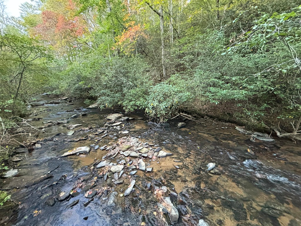 2010 Mt. Springer Road