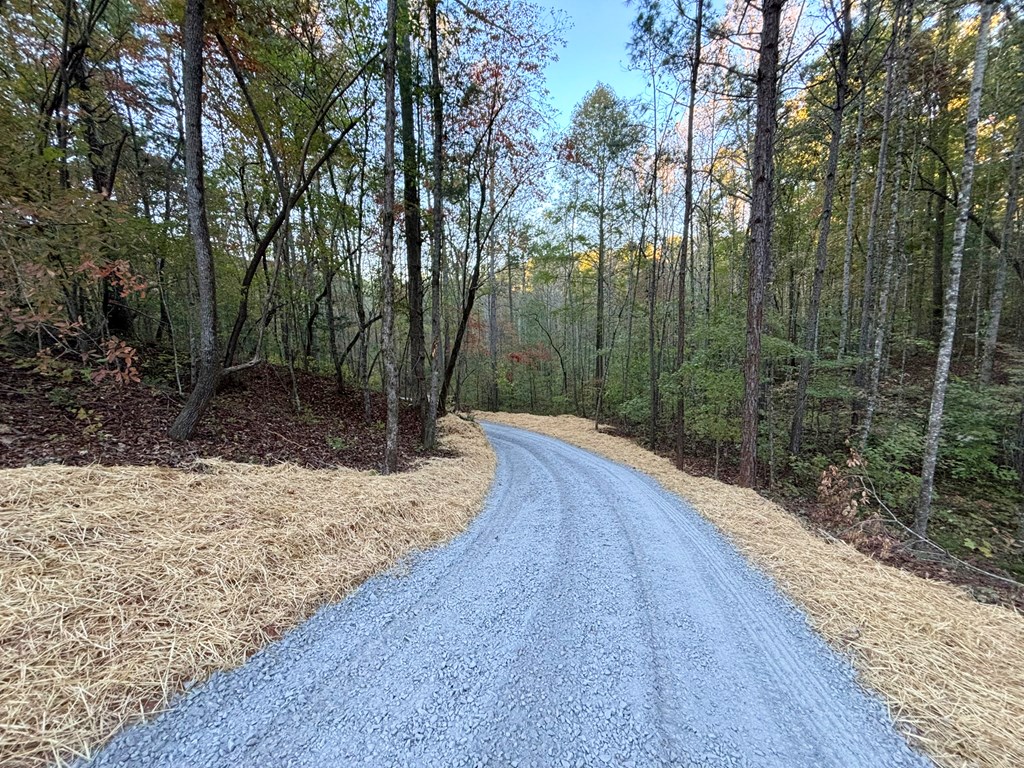 2010 Mt. Springer Road