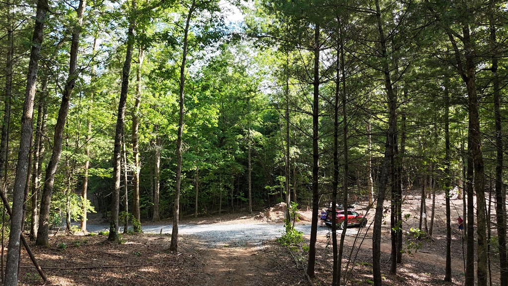 TR B E New Hope Road E