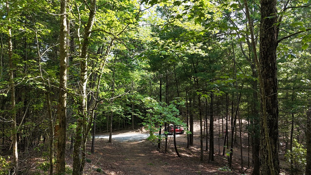 TR B E New Hope Road E