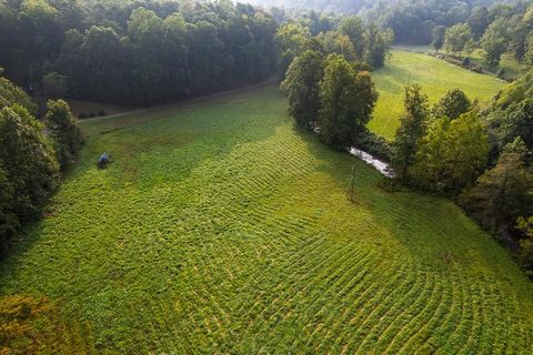 228 Holly Branch Drive Ellijay GA 30540