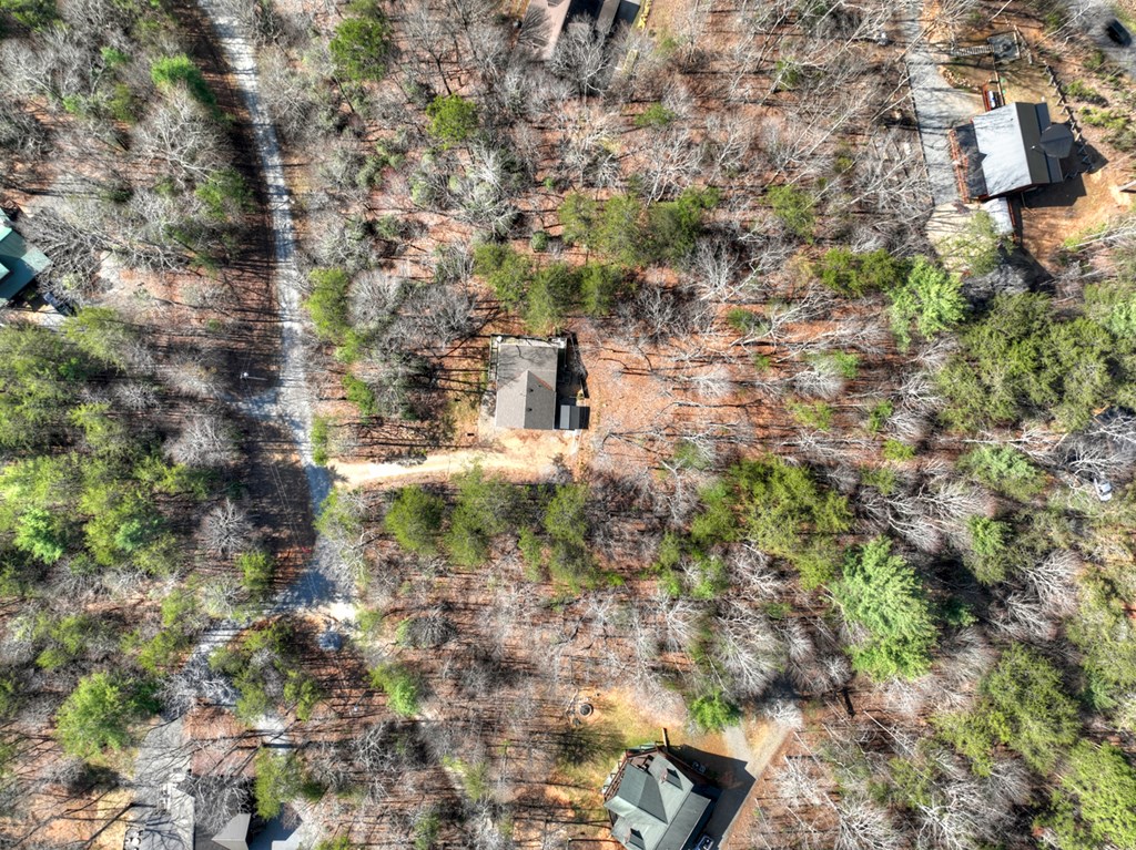 65 Blue Grass Hollow