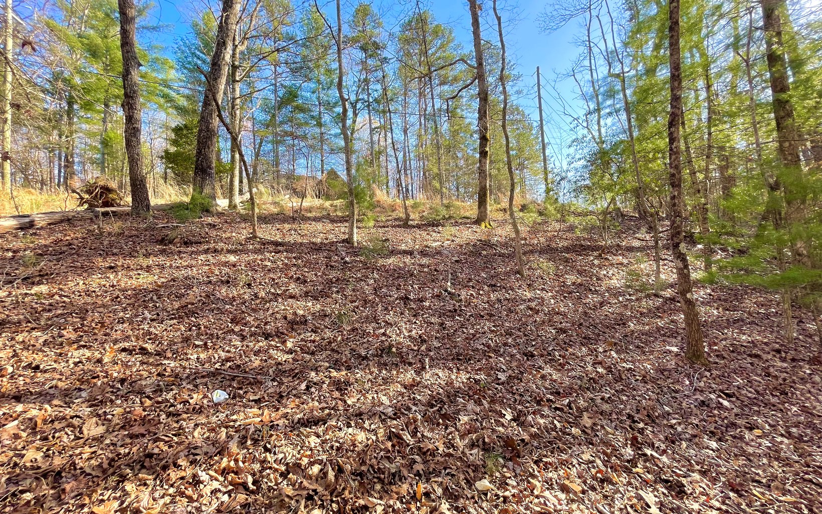 LT 188 Lemmon Lane