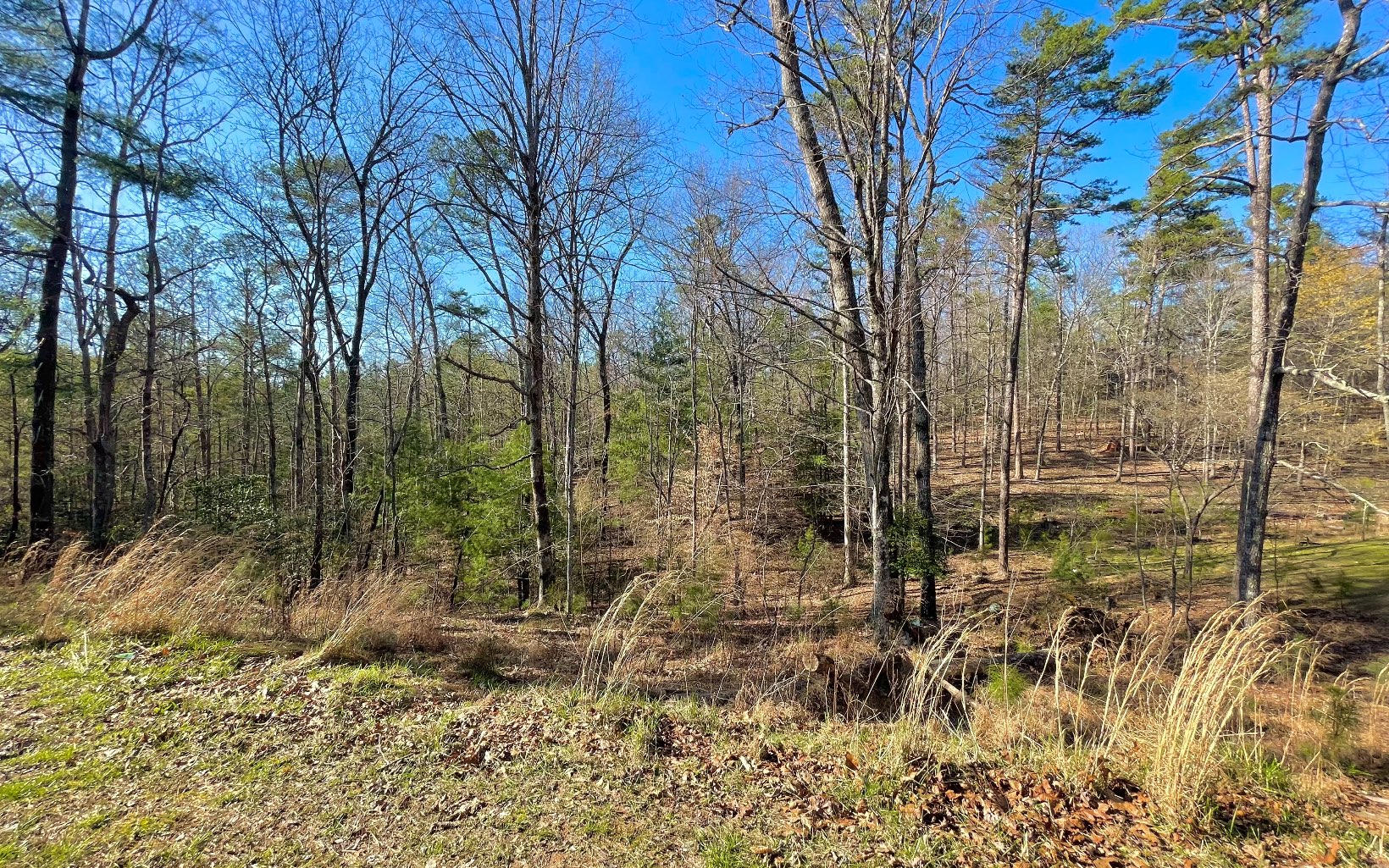 LT 188 Lemmon Lane