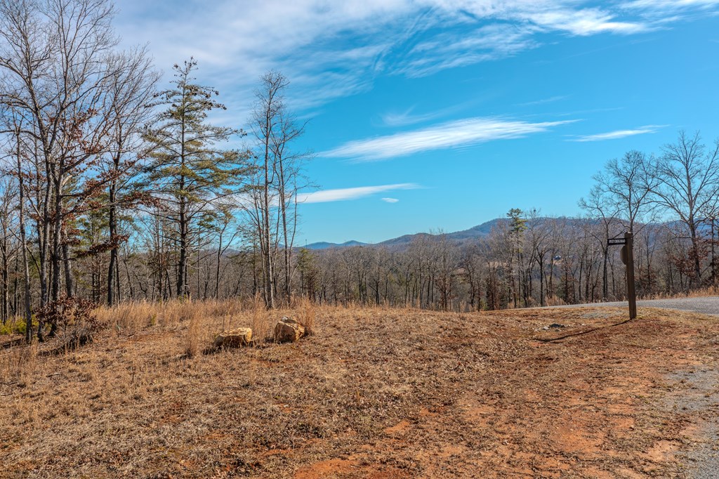 Lot 163 Ridge Dr