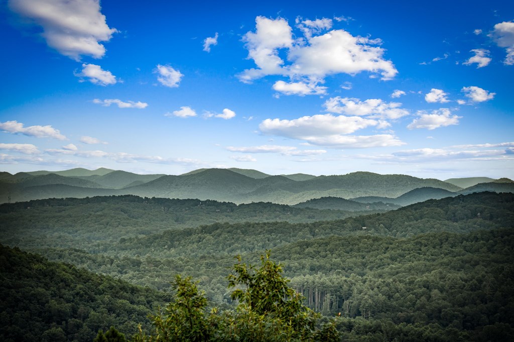 400 Cloudland Trace