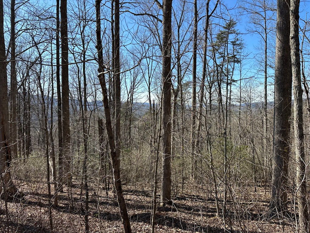 Lot 80 Asheland Cove