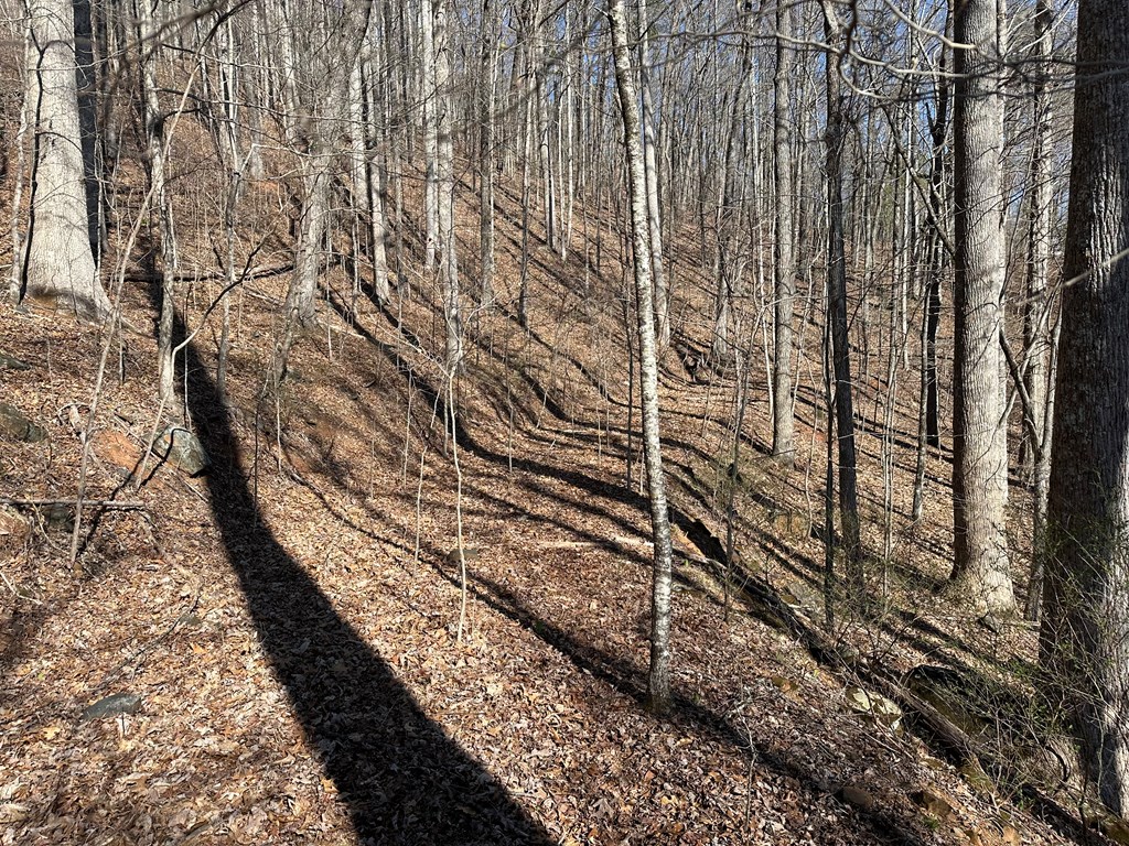 Lot 80 Asheland Cove