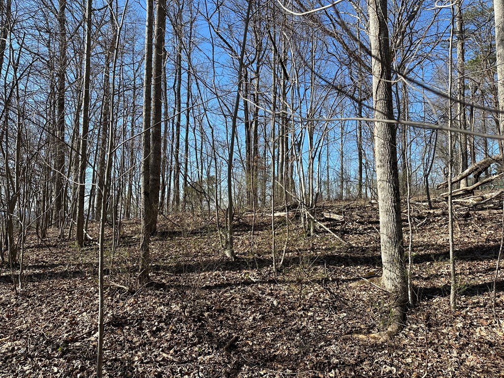 Lot 80 Asheland Cove