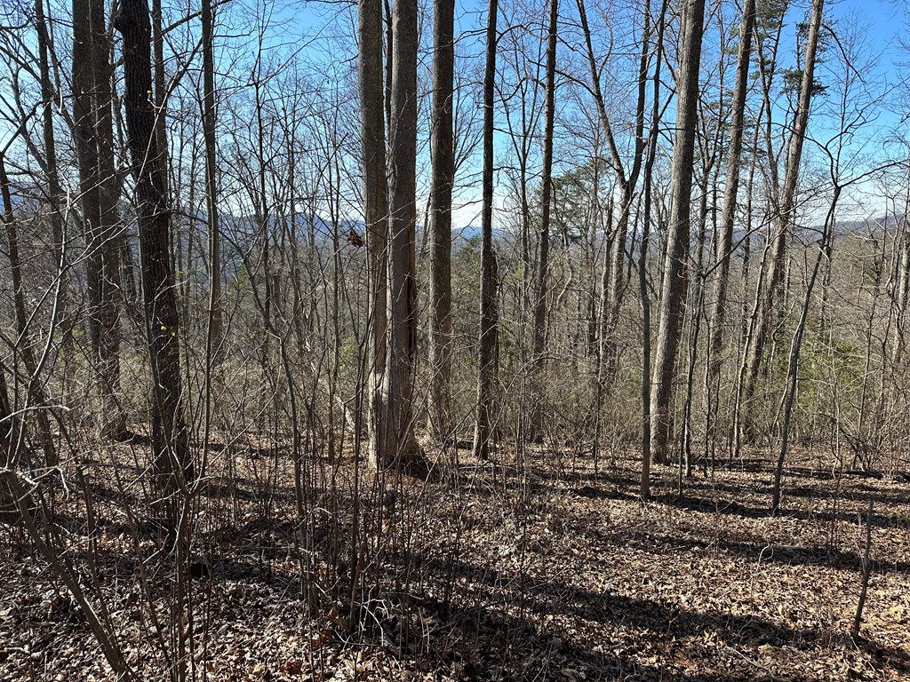 Lot 80 Asheland Cove