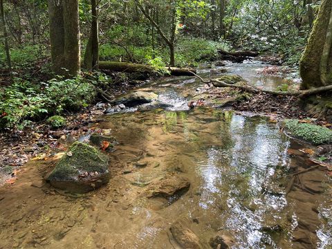 000 Zion Hill Road Ellijay GA 30540